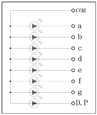 LDV[Y:8mm Am[hER